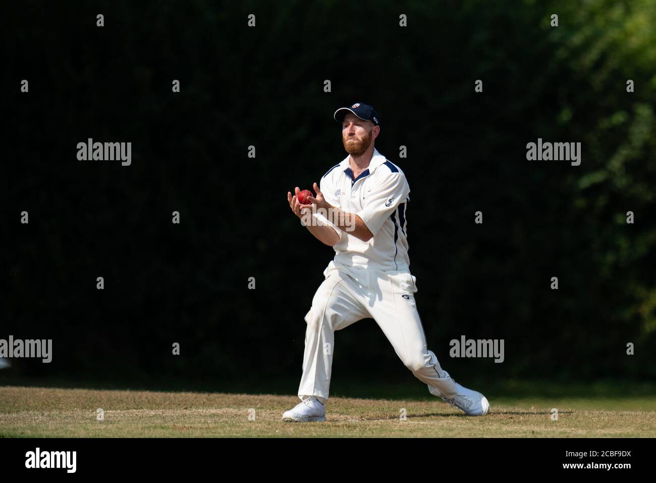 Giocatore di cricket che cattura la palla di cricket Foto Stock