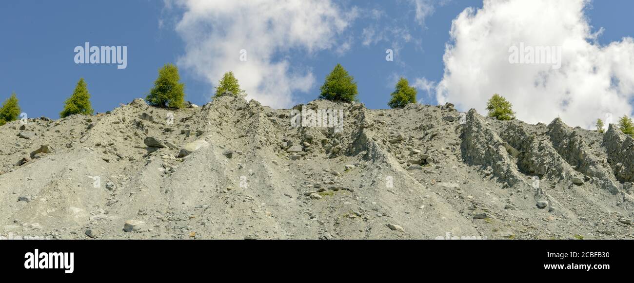 Fila di alberi in un muro ripido e roccioso Foto Stock