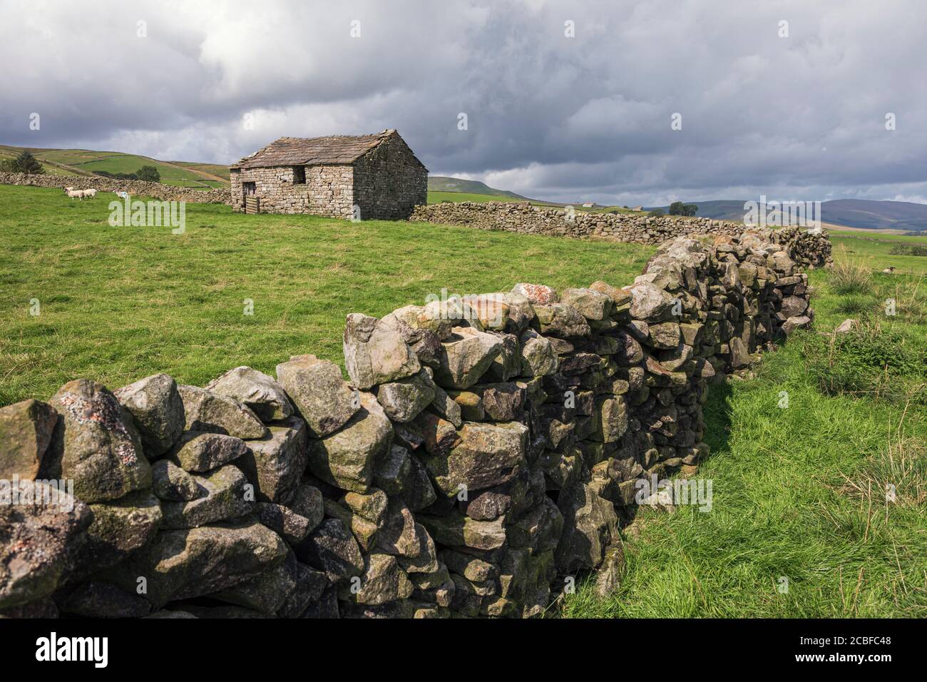 Tipico paesaggio delle valli dello Yorkshire con muraglia in pietra a secco e fienile, vicino a Hawes, North Yorkshire Foto Stock