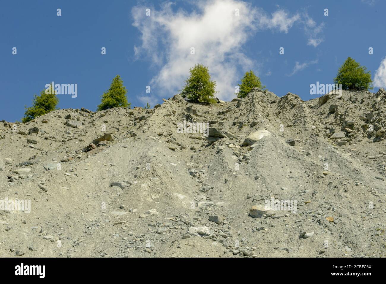 Fila di alberi in un muro ripido e roccioso Foto Stock