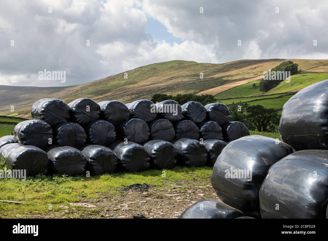 Balle di insilato avvolte in pellicola di plastica nera, vicino a Hawes, Yorkshire Dales National Park, North Yorkshire, Inghilterra, Regno Unito Foto Stock