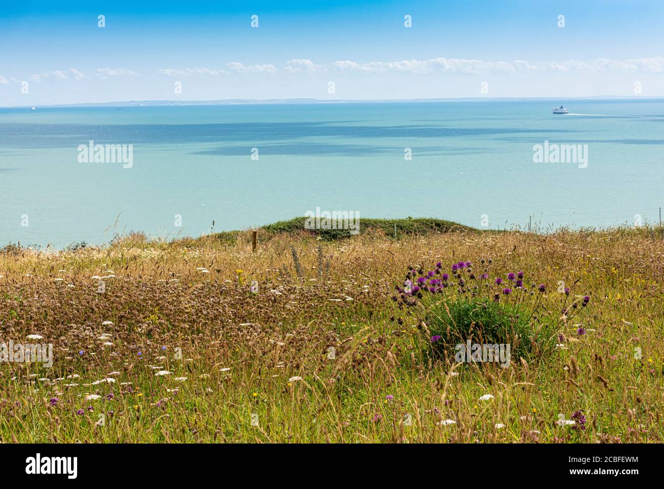 Le bianche scogliere di dover e la Manica a Kent, Inghilterra Foto Stock