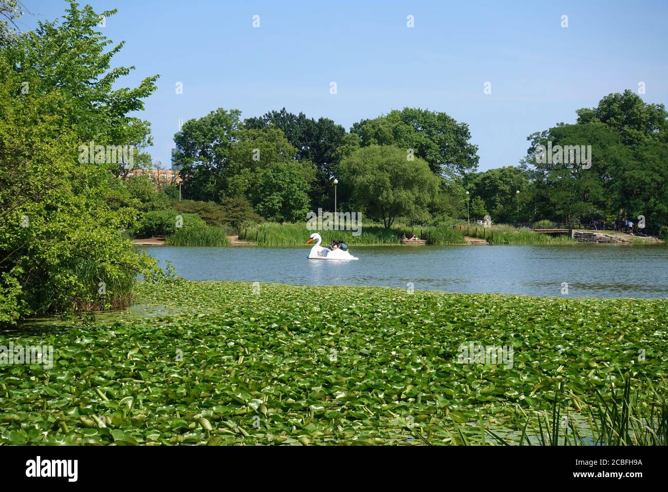 CHICAGO, il -5 LUG 2020- Vista di Swan barche, pedalò su un lago all'interno di Humboldt Park a Chicago, Illinois, Stati Uniti. Foto Stock