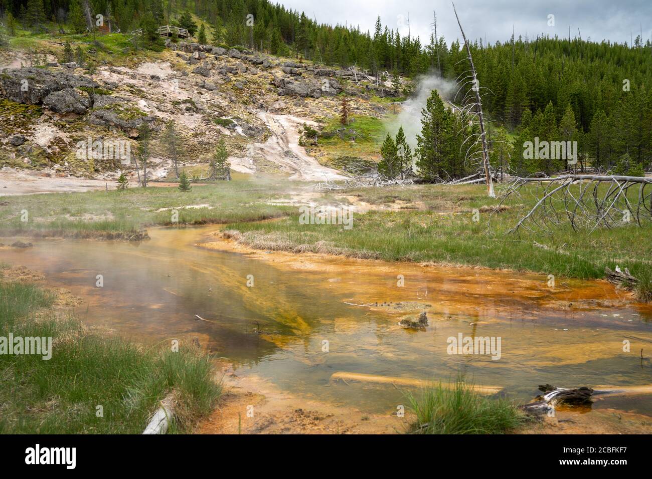 Sorgenti termali e geyser (incluso Blood Geyser) lungo il percorso Artists Paint Pots nel parco nazionale di Yellowstone, Wyoming Foto Stock