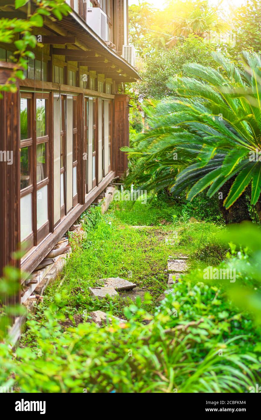 chiba, giappone - luglio 18 2020: Cortile di una pensione giapponese ryokan giardino interno con una palma e porte trasparenti di vetro shoji e zanzara ne Foto Stock