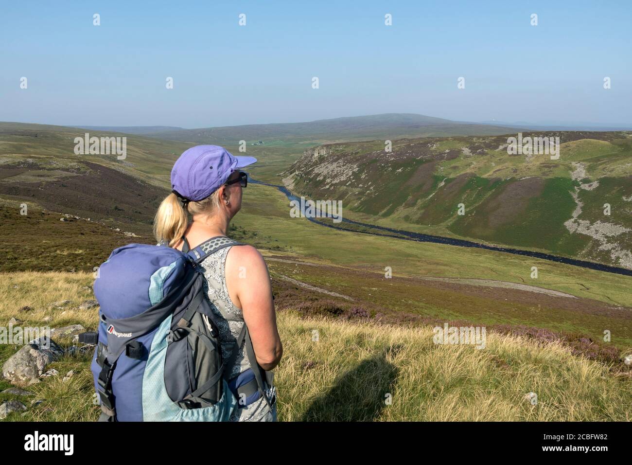 Walker godendo il da Cronkley cadde lungo il fiume Tees verso Falcon Clinton e Meldon Hill in estate, Teesdale County Durham, Regno Unito Foto Stock