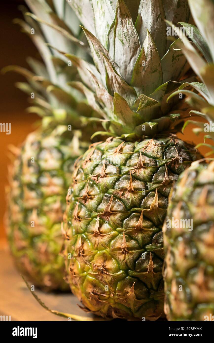 Primo piano di tre ananas freschi interi (ananas comosus) in piedi diritto non tagliato, isolato sul tavolo da cucina. Frutta tropicale al coperto. Foto Stock