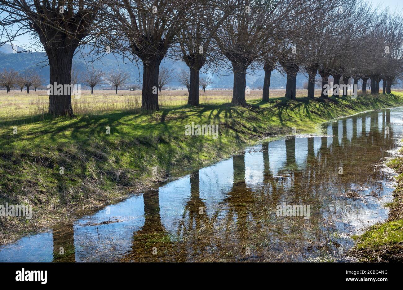 Gli alberi di Mulberry si riflettono in un canale di irrigazione sulle pianure alluvionali di Mantineia, vicino Tripoli, Arcadia meridionale, Peloponneso, Grecia, Mulberry tr Foto Stock