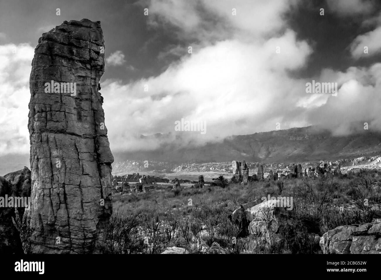 I pilastri in pietra arenaria si erosero in strane forme al Window Rock Trail nelle montagne di Cederberg, nel Capo Occidentale, in Sud Africa, in bianco e nero Foto Stock