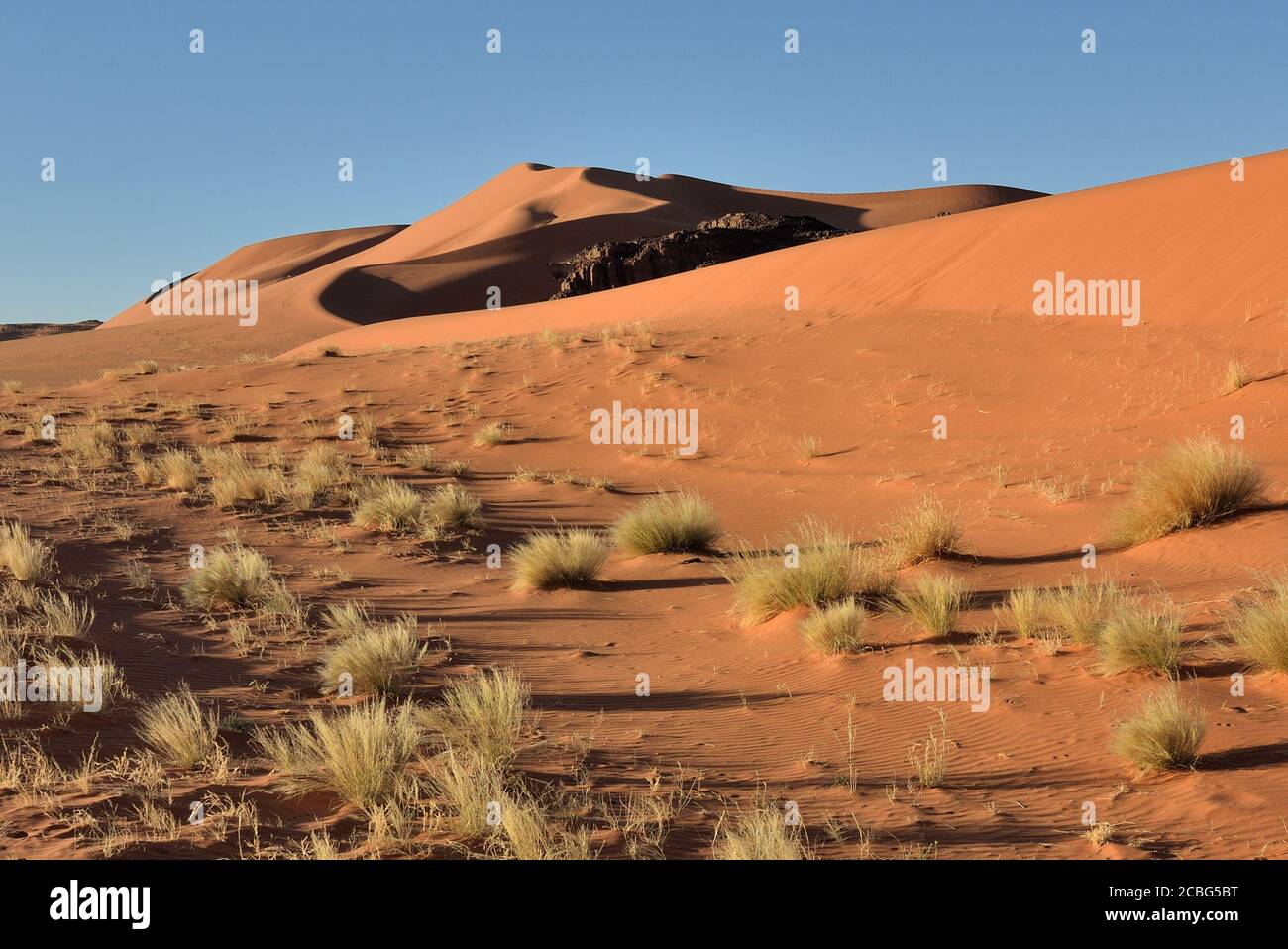 DUNE DI SABBIA NELLA REGIONE DI TIN MERZOUGA TADRART. DESERTO DEL SAHARA IN ALGERIA. Foto Stock