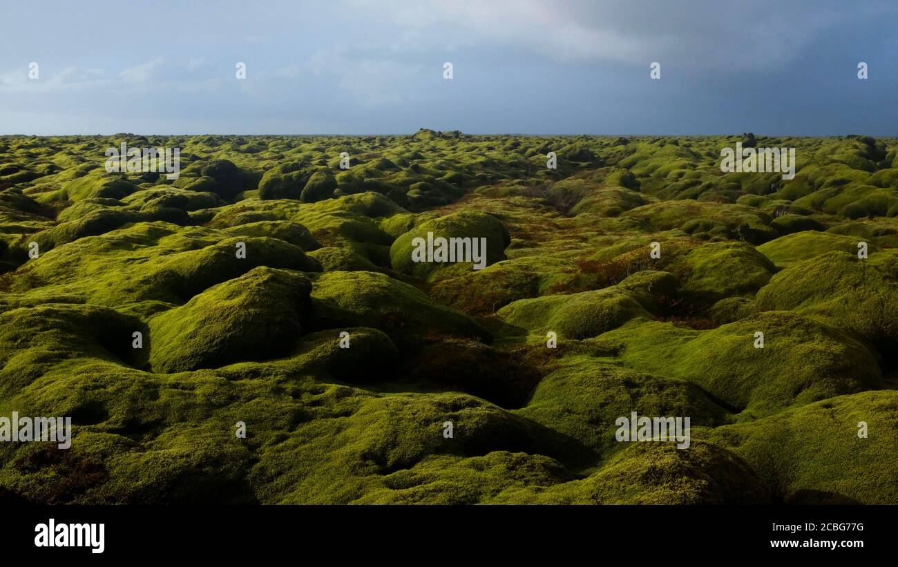 Eldhraun Lava Field, Islanda del Sud (Vista ampia) Foto Stock