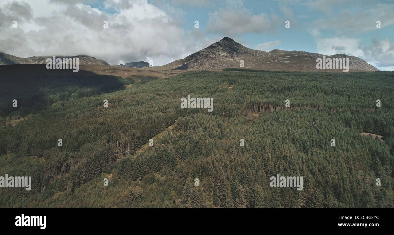 Foto aerea del paesaggio oceanico della Scozia: Alberi e strade con auto vicino al Golfo di Firth-of-Clyde. Magnifica costa della natura con herit storico Foto Stock