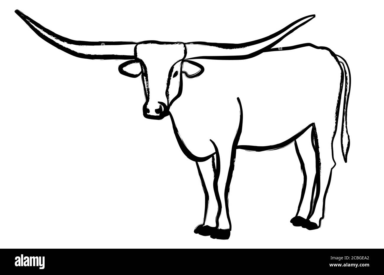 Texas Longhorn bull, icona del bestiame, su sfondo bianco. Illustrazioni vettoriali. Illustrazione Vettoriale