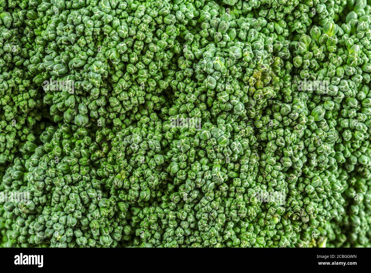 Primo piano della texture verde dei broccoli - astratto fondo alimentare organico Foto Stock