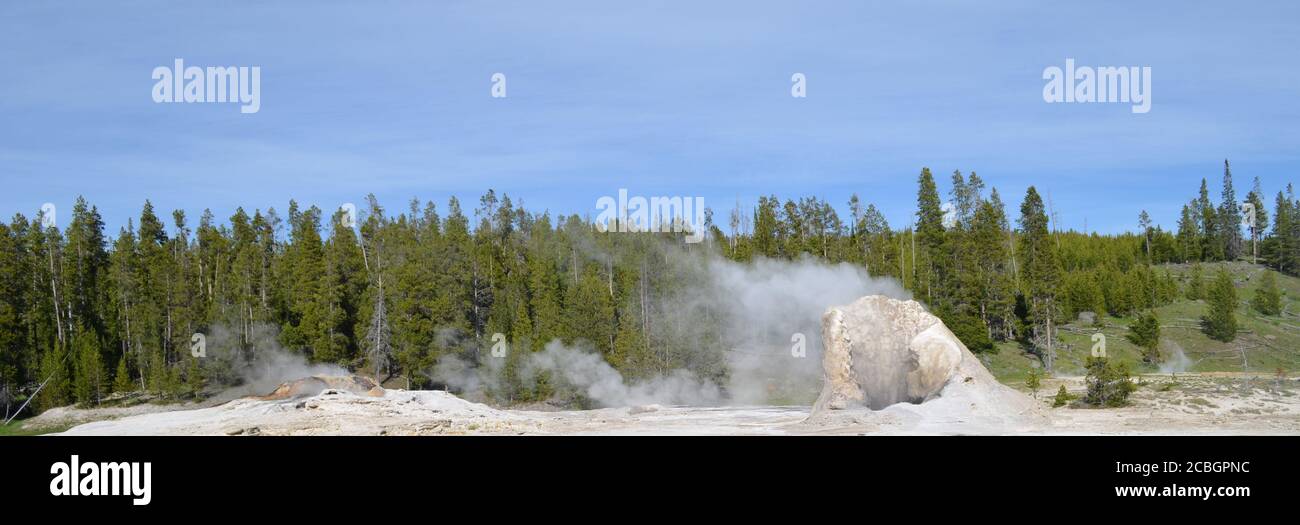 Primavera nel Parco Nazionale di Yellowstone: Geyser Bijou, Geyser Catfish, Geyser Mastiff e Geyser Gigante del complesso Giant Geyser nel bacino superiore del Geyser Foto Stock