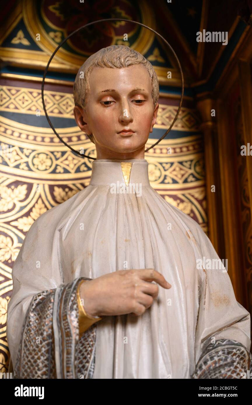 Sant'Aloysius de Gonzaga (Aloysius Gonzaga), morto per aver badato alle vittime di un'epidemia. Cattedrale di San Martino a Bratislava. Foto Stock