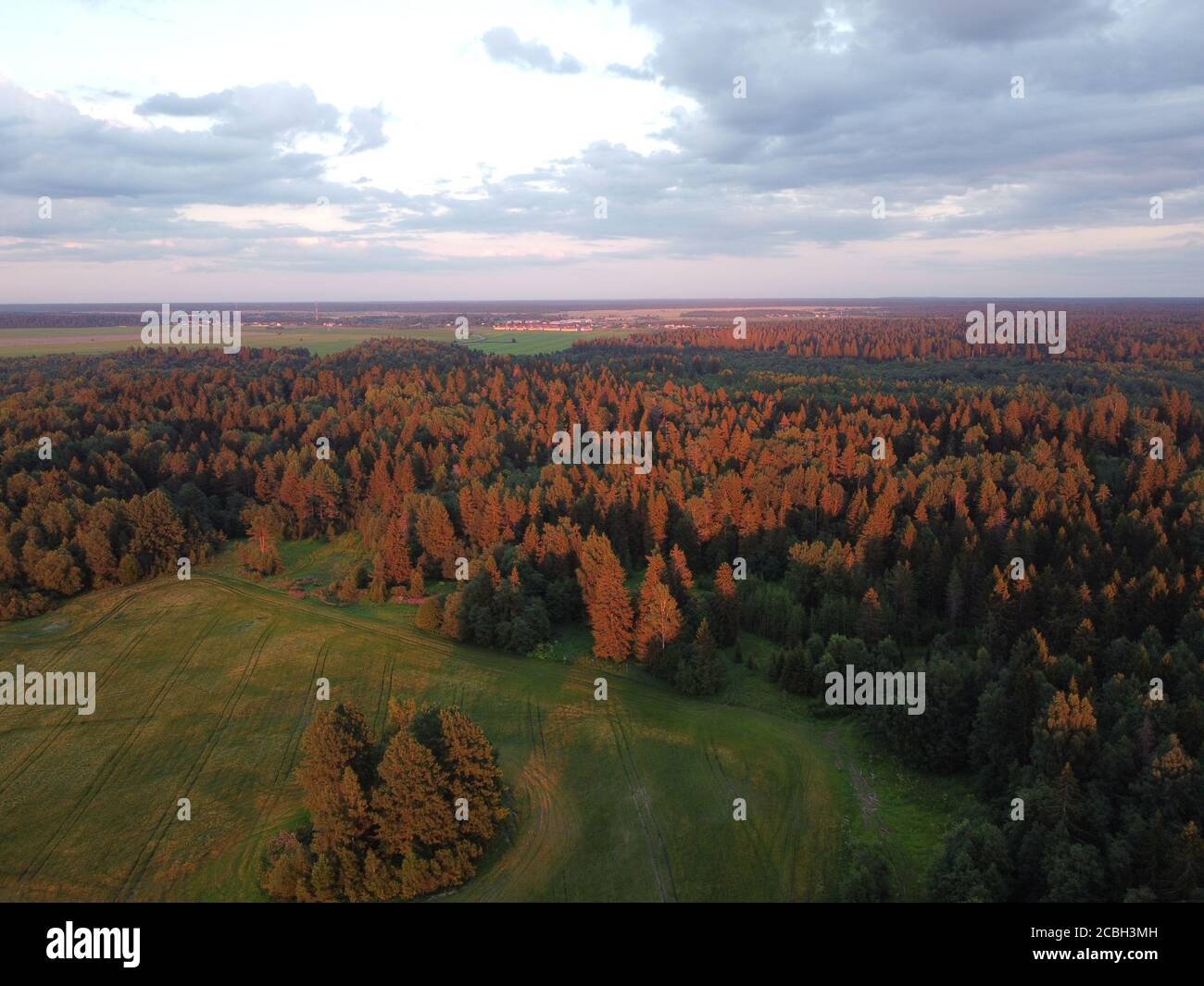 estate verde foresta nei raggi del sole tramontare fotografia aerea Foto Stock