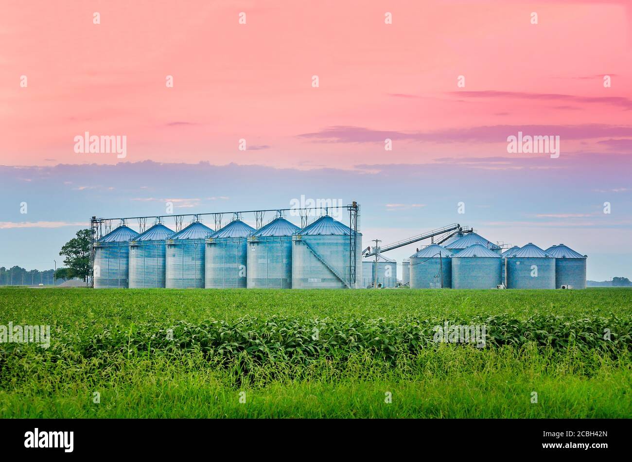 Il sole sorge su silos di grano d'acciaio nel Delta del Mississippi, 8 agosto 2016, a Cleveland, Mississippi. Foto Stock