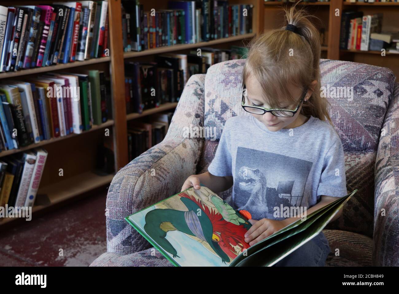 Bambino che legge un libro in una piccola biblioteca Foto Stock