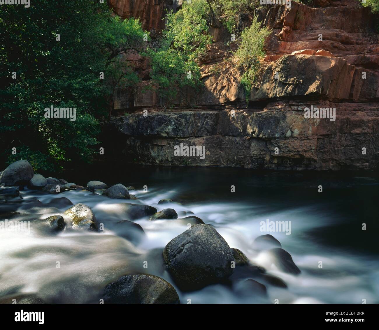 Coconino National Forest AZ / AUG Oak Creek sgorga sopra le rocce scolpite dall'acqua a Grasshopper Point nel canyon di Oak Creek. Foto Stock