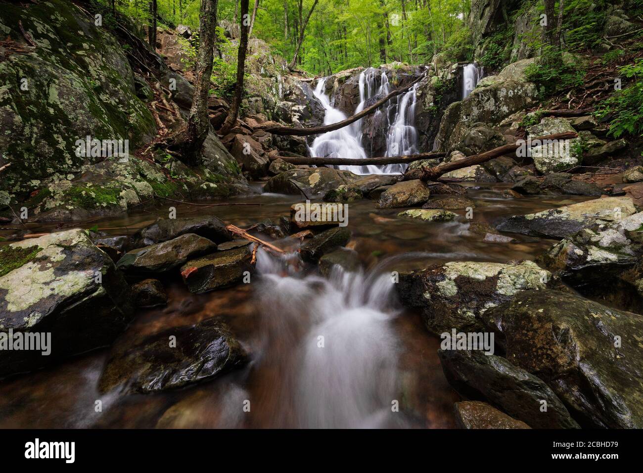 Rapide e Rose River Falls sullo sfondo con la lussureggiante foresta verde del Shenandoah National Park, Virginia, Stati Uniti Foto Stock