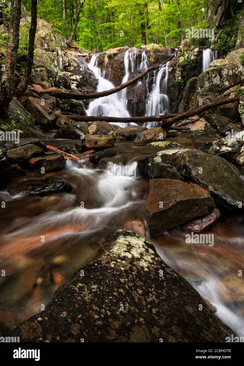 Rapide e Rose River Falls sullo sfondo con la lussureggiante foresta verde del Shenandoah National Park, Virginia, Stati Uniti Foto Stock