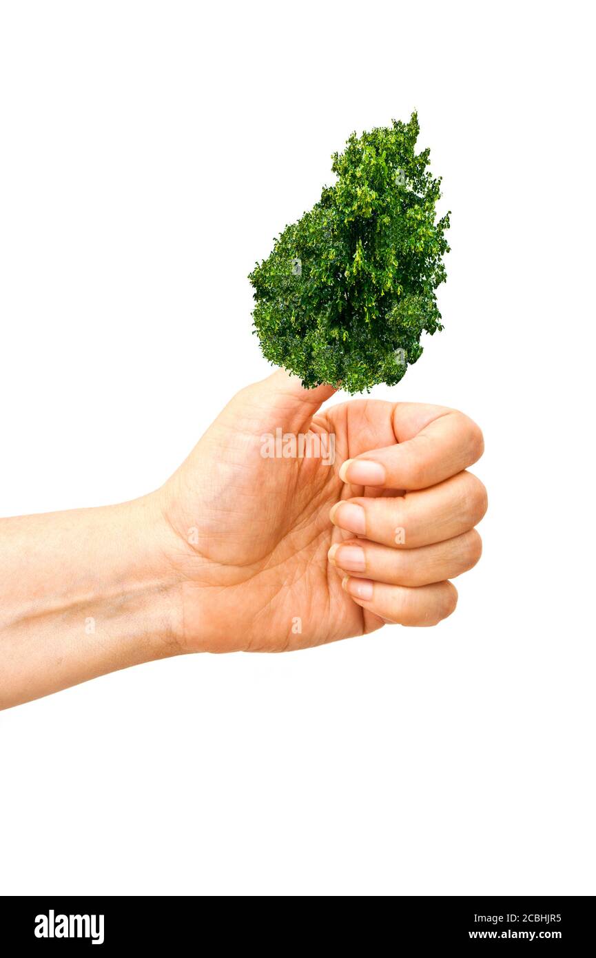 mano con un albero invece del pollice, concetto di pollice verde Foto Stock