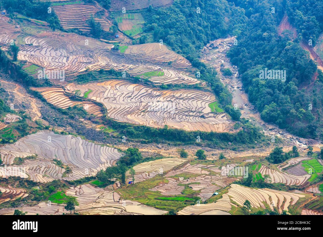 Bel campo di riso terrazzato in acqua stagione di trazione in Y Ty, Bat Xat, provincia Lao cai in Vietnam Foto Stock