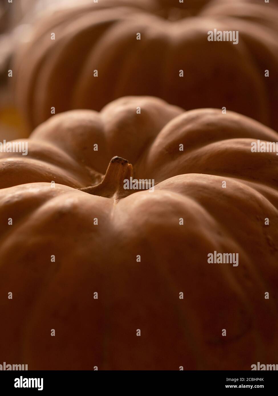 Pulire le zucche sulla foto del materiale da esposizione Foto Stock