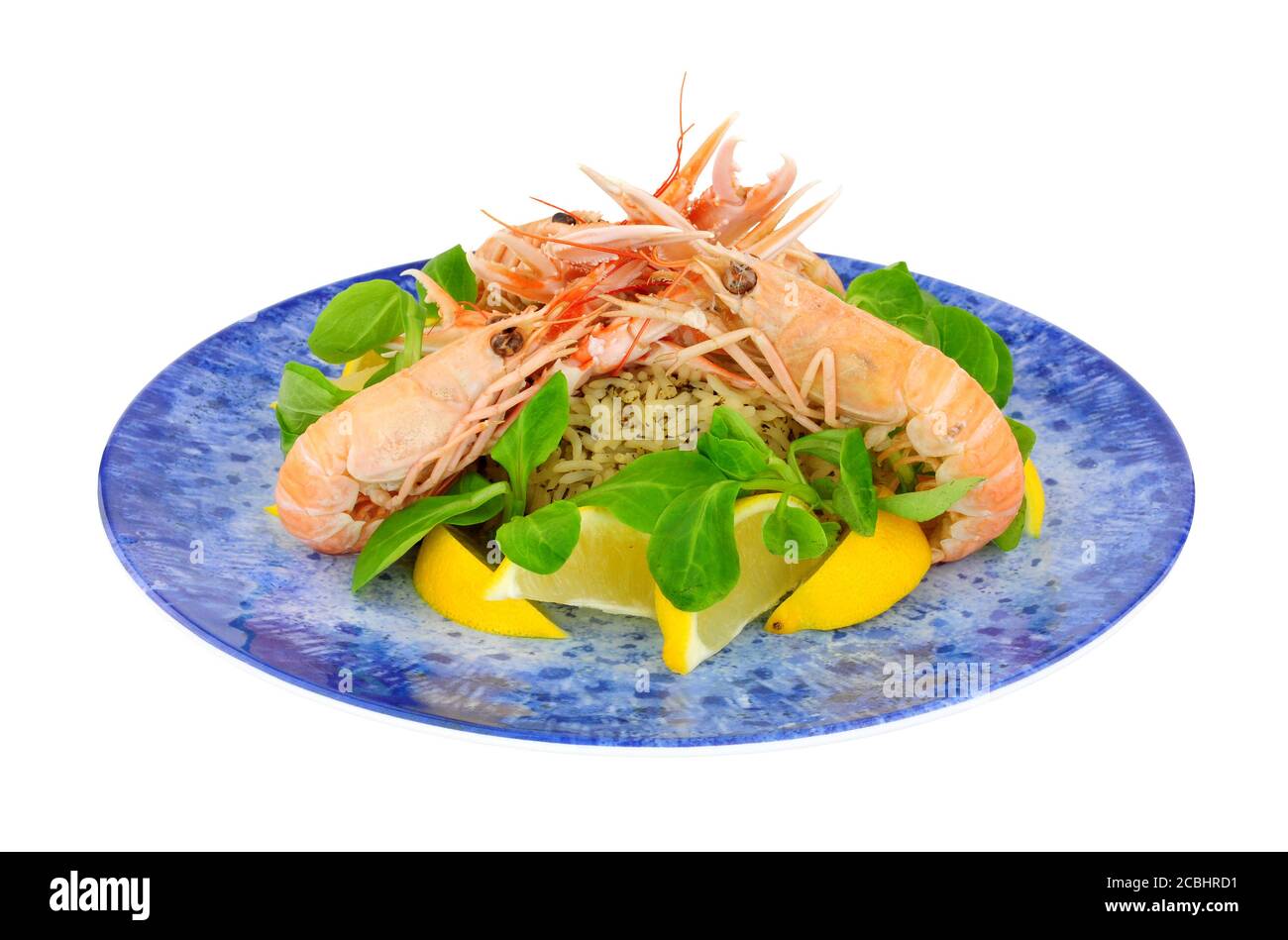 Gamberi interi della baia di Dublino appena cotti, conosciuti anche come langoustina e scampi su una piastra blu isolata su un bianco sfondo Foto Stock