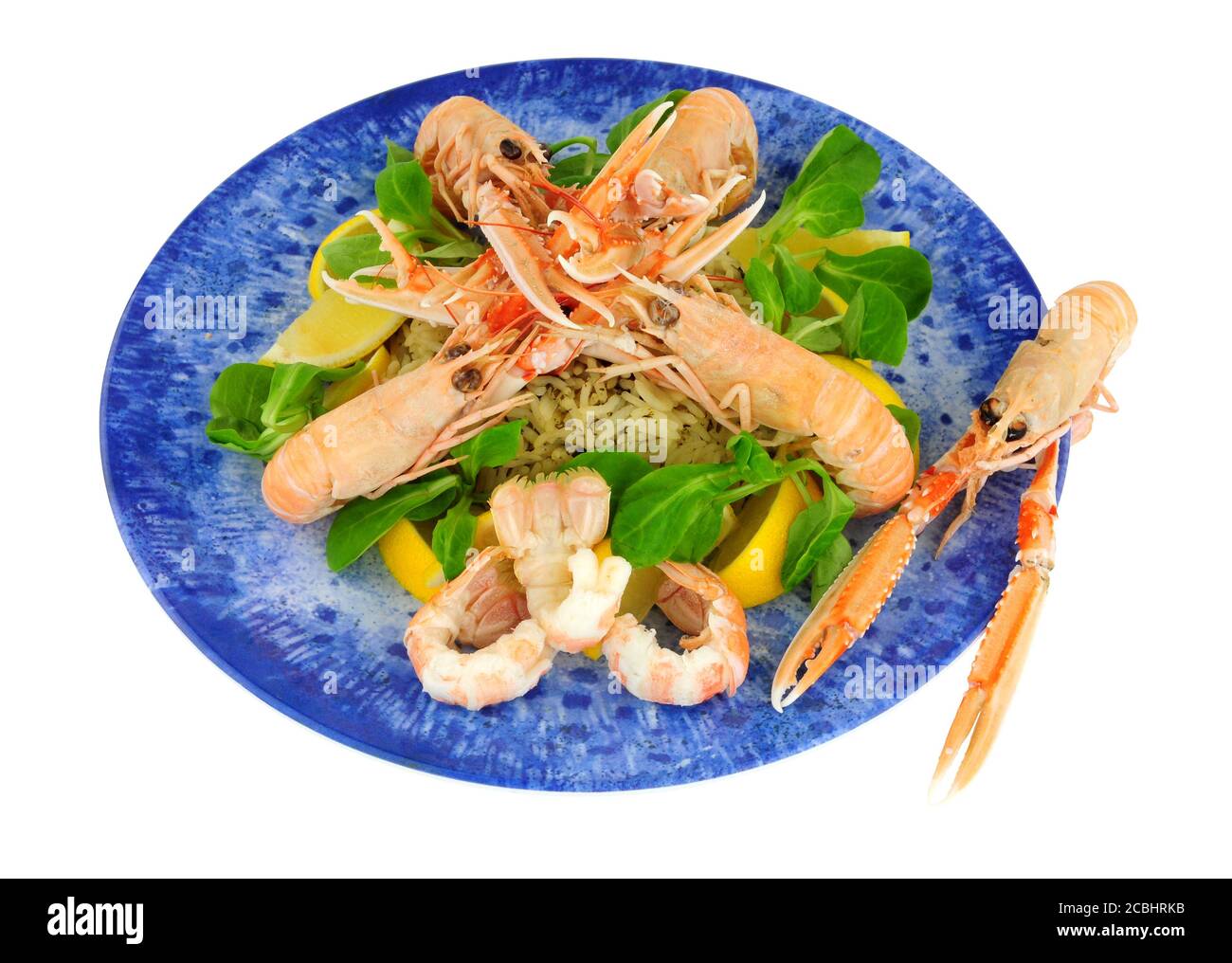 Gamberi interi della baia di Dublino appena cotti, conosciuti anche come langoustina e scampi su una piastra blu isolata su un bianco sfondo Foto Stock