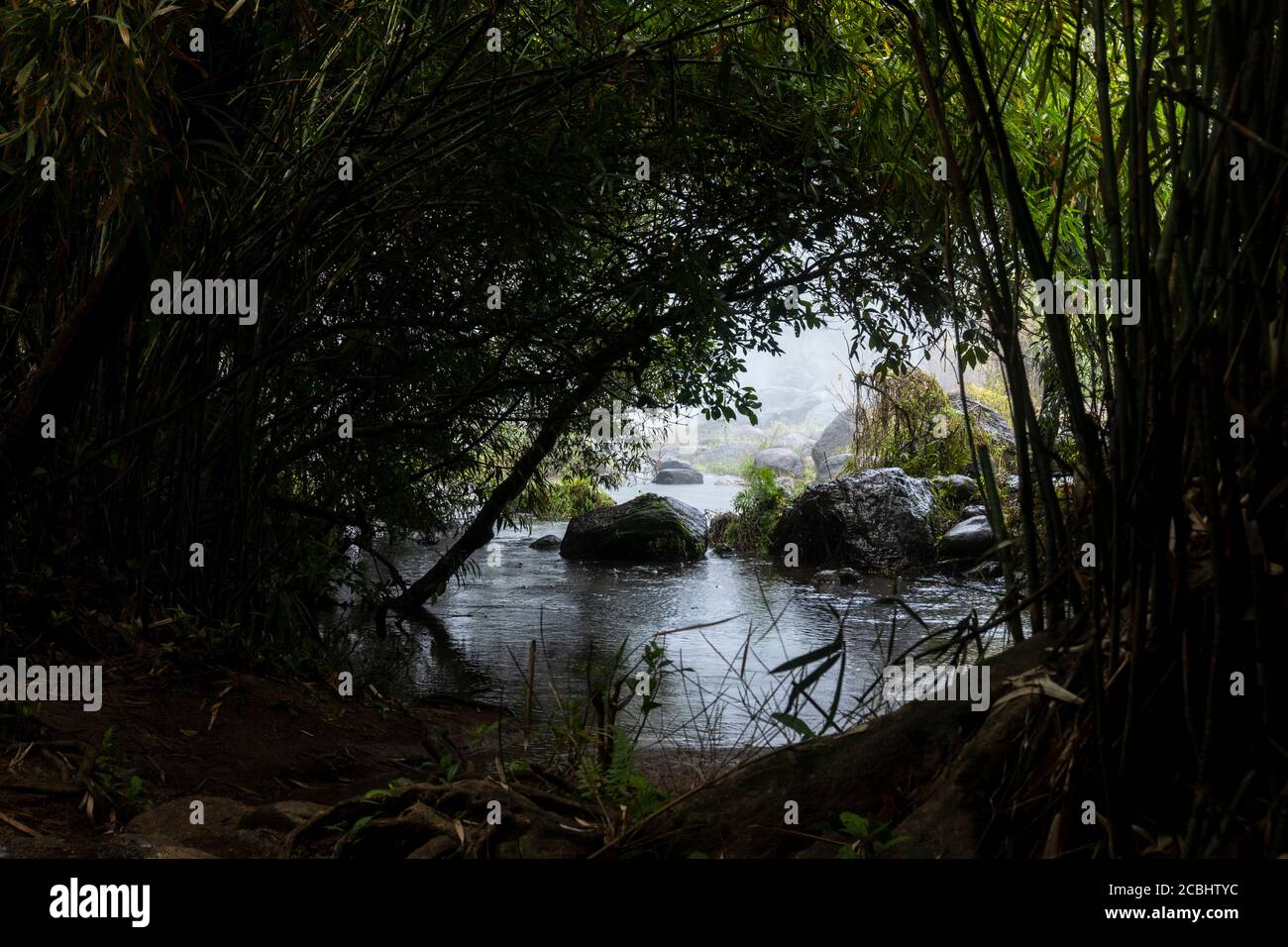 Cascata Athirapally vista frontale da verde foresta stock foto Foto Stock