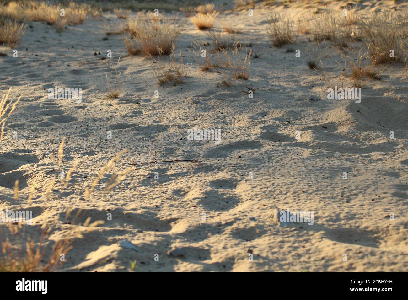 scarpe da ginnastica e vento sulla spiaggia di sabbia nel estate sera ai raggi del sole impostazione naturale sfondo Foto Stock