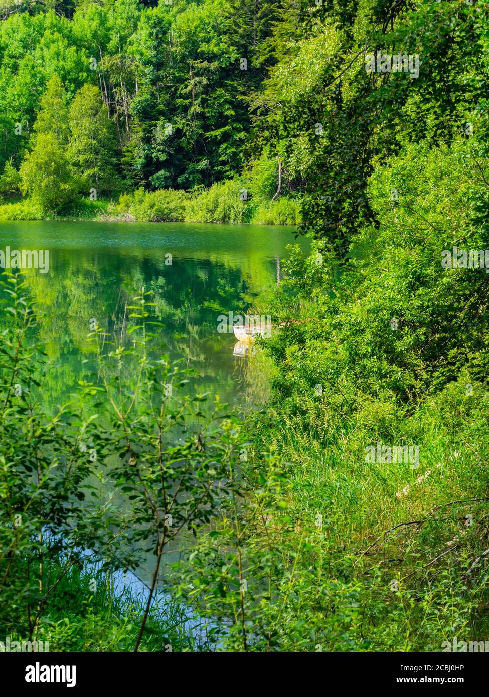 Solo solo una barca costa Foresta verde bella bella preservata Natura ambiente naturale Primavera stagione lago Mrzla votica in Croazia Europa Foto Stock