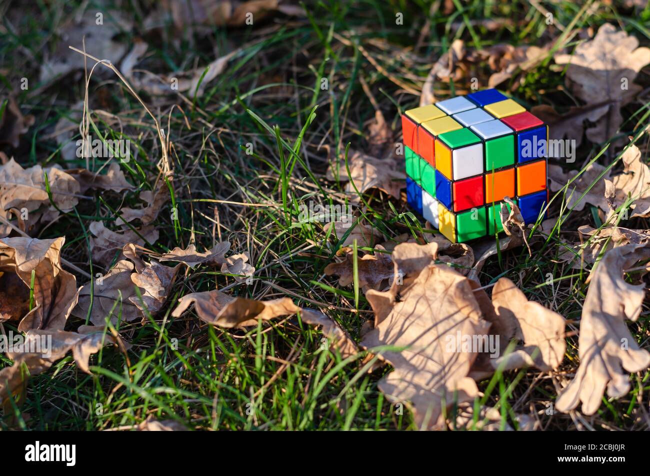 Kiev, Ucraina - 18 ottobre 2019. Cubo di Rubik il cubo di Rubik sull'erba e foglie di quercia secca ai raggi del sole che tramonta Foto Stock