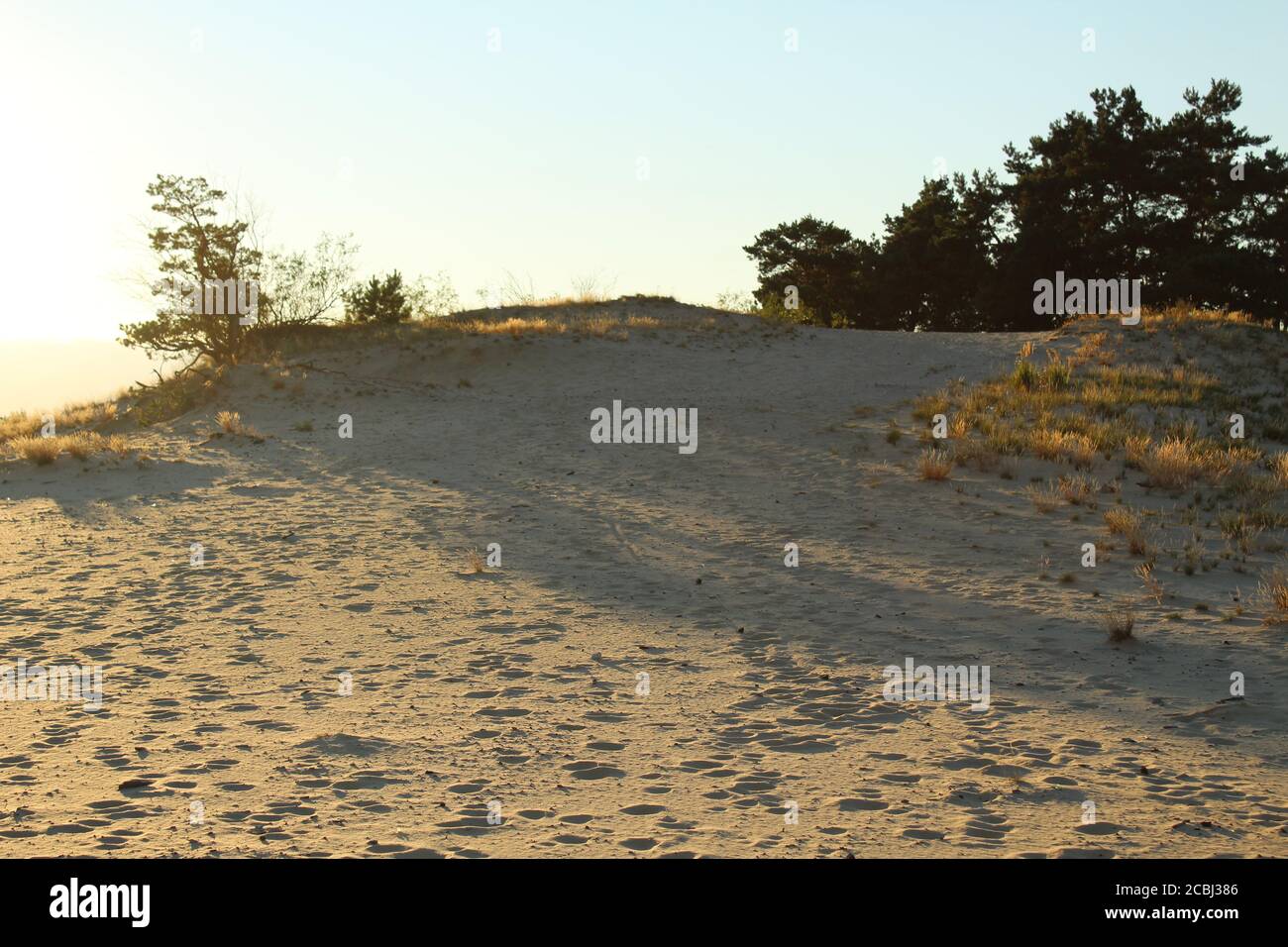 scarpe da ginnastica e vento sulla spiaggia di sabbia nel estate sera ai raggi del sole impostazione naturale sfondo Foto Stock