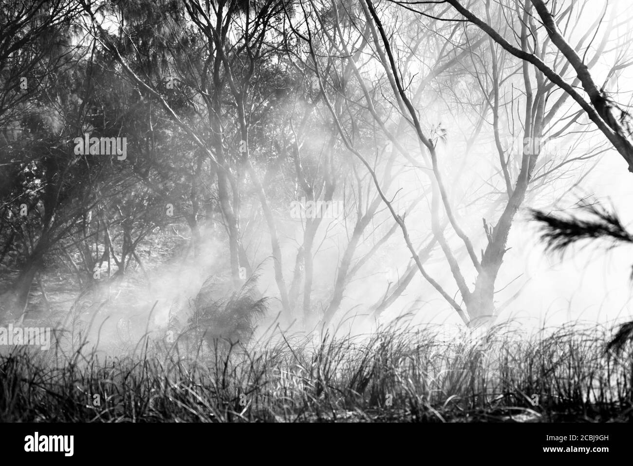 Australia fuoco d'fuoco in estate stagione di fuoco Foto Stock