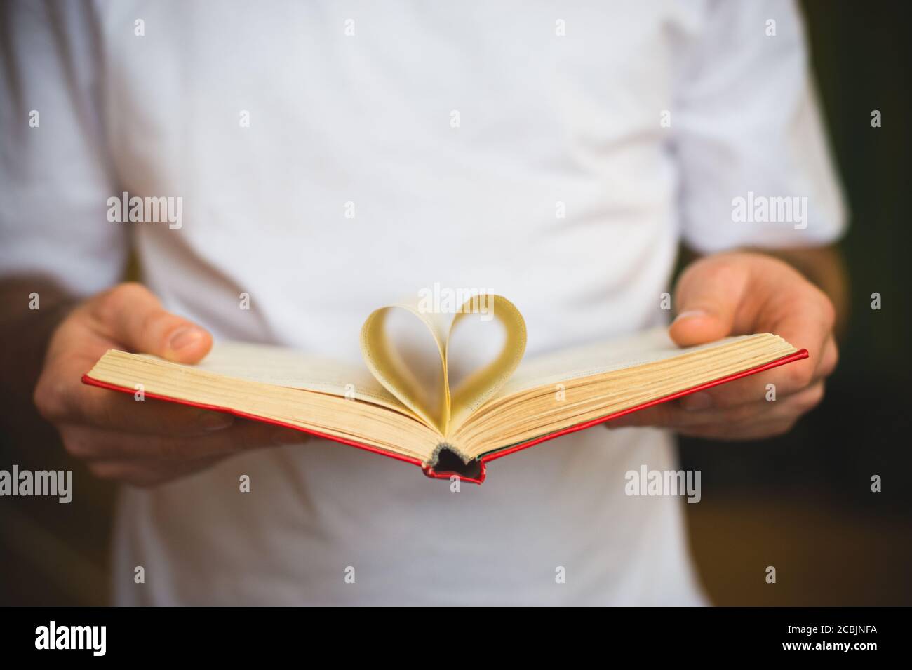 Apri il libro con i fogli a forma di cuore nelle mani maschili Foto Stock