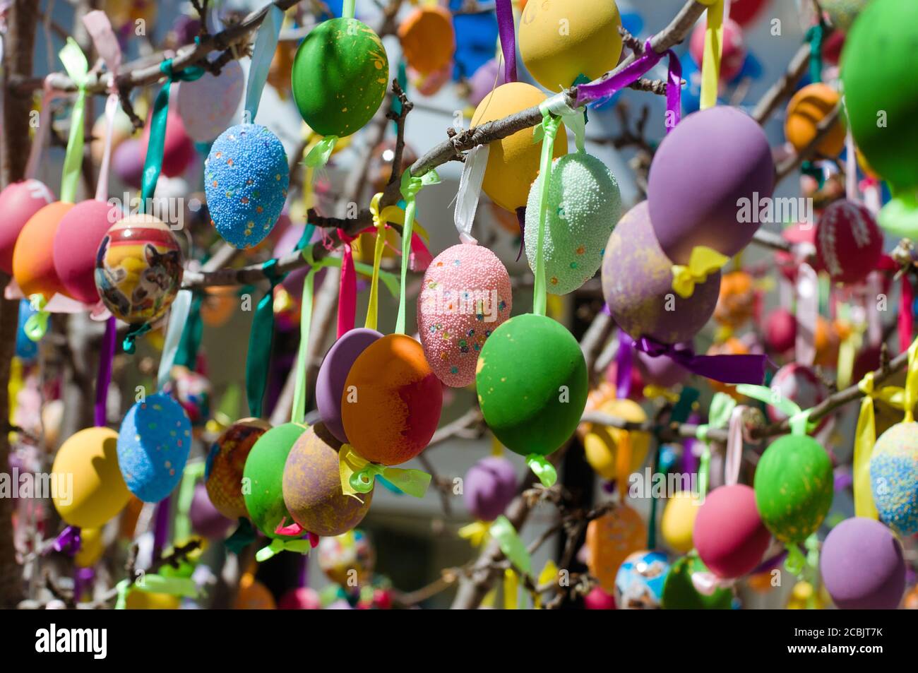 Uova di Pasqua colorate decorate su un albero Foto Stock