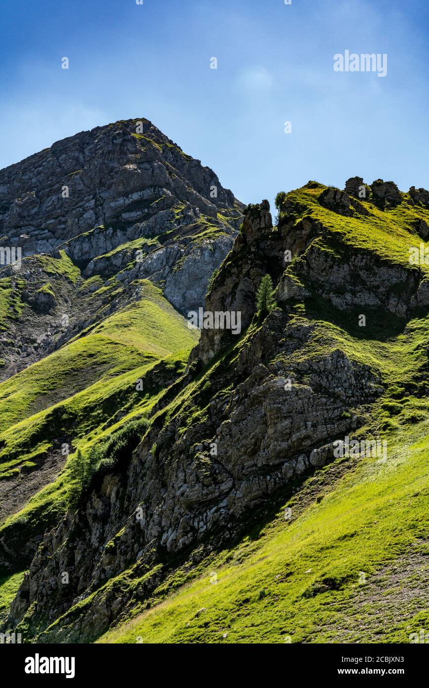 zerklüftete Berge, montagne aspre, in Vorarlberg, Amatschonjoch, Austria, wiesen und Bäume wachsen bis zu den Gipfeln Foto Stock