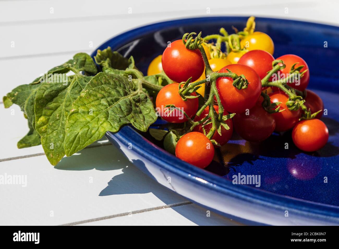 Pomodori ciliegini freschi gialli e rossi su un piatto con foglie Foto Stock