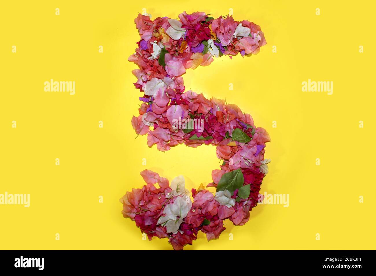 fiore di cinque lettere numero numerico, 5 cifre, fatto da fiori di  bougainvillea colorati, splendide lettere di flora per decorazioni  primaverili uniche e variou Foto stock - Alamy