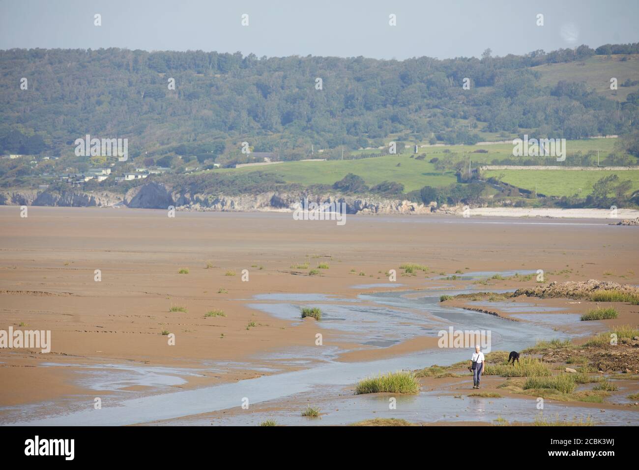 Silverdale a Lancaster, Lancashire, una donna che cammina il suo cane lungo la spiaggia costiera di Morecambe Bay Foto Stock