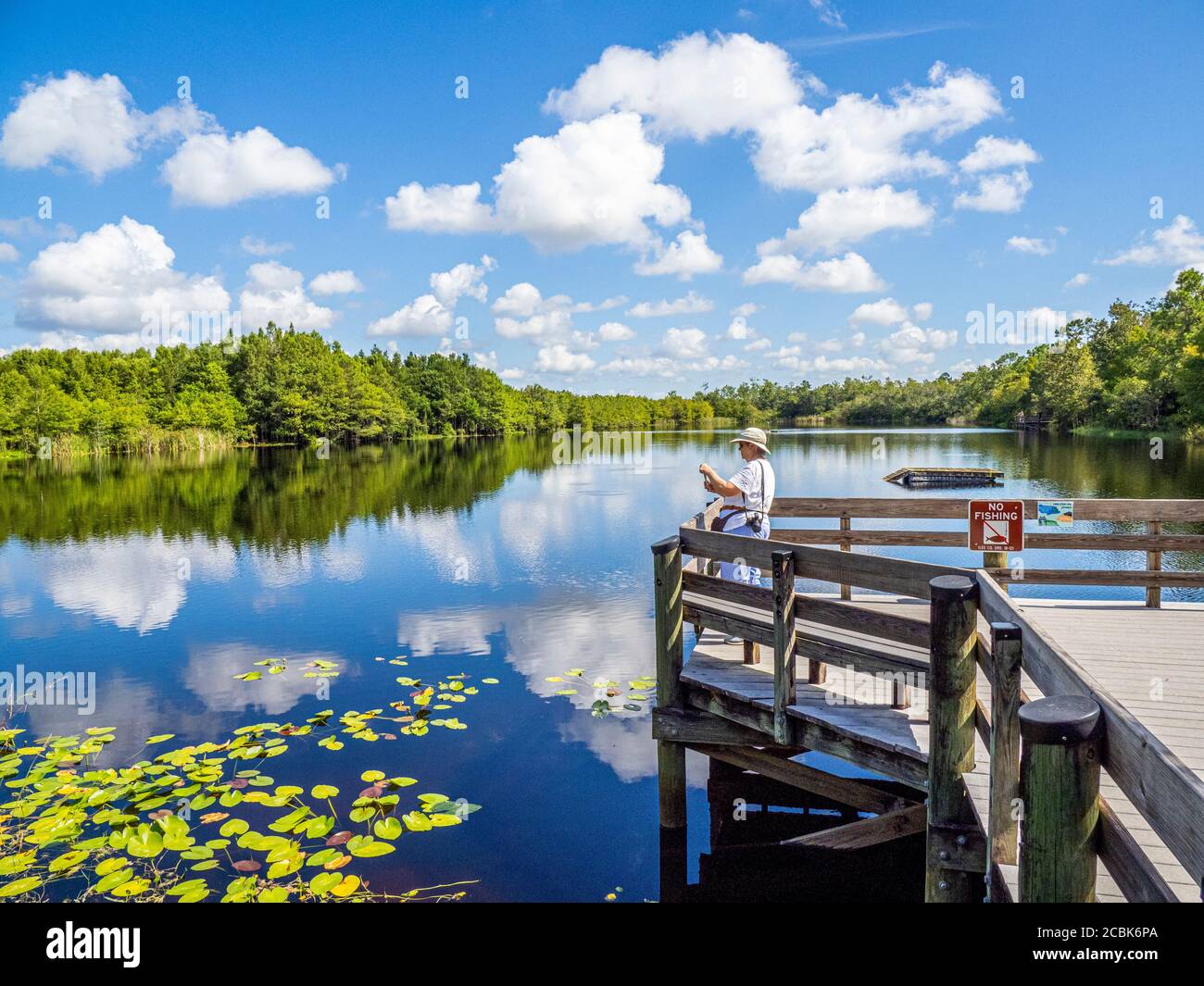Donna che scattano foto con il telefono il giorno d'estate in sei Mile Cypress Slough Preserve a Fort Myers Florida nel Stati Uniti Foto Stock
