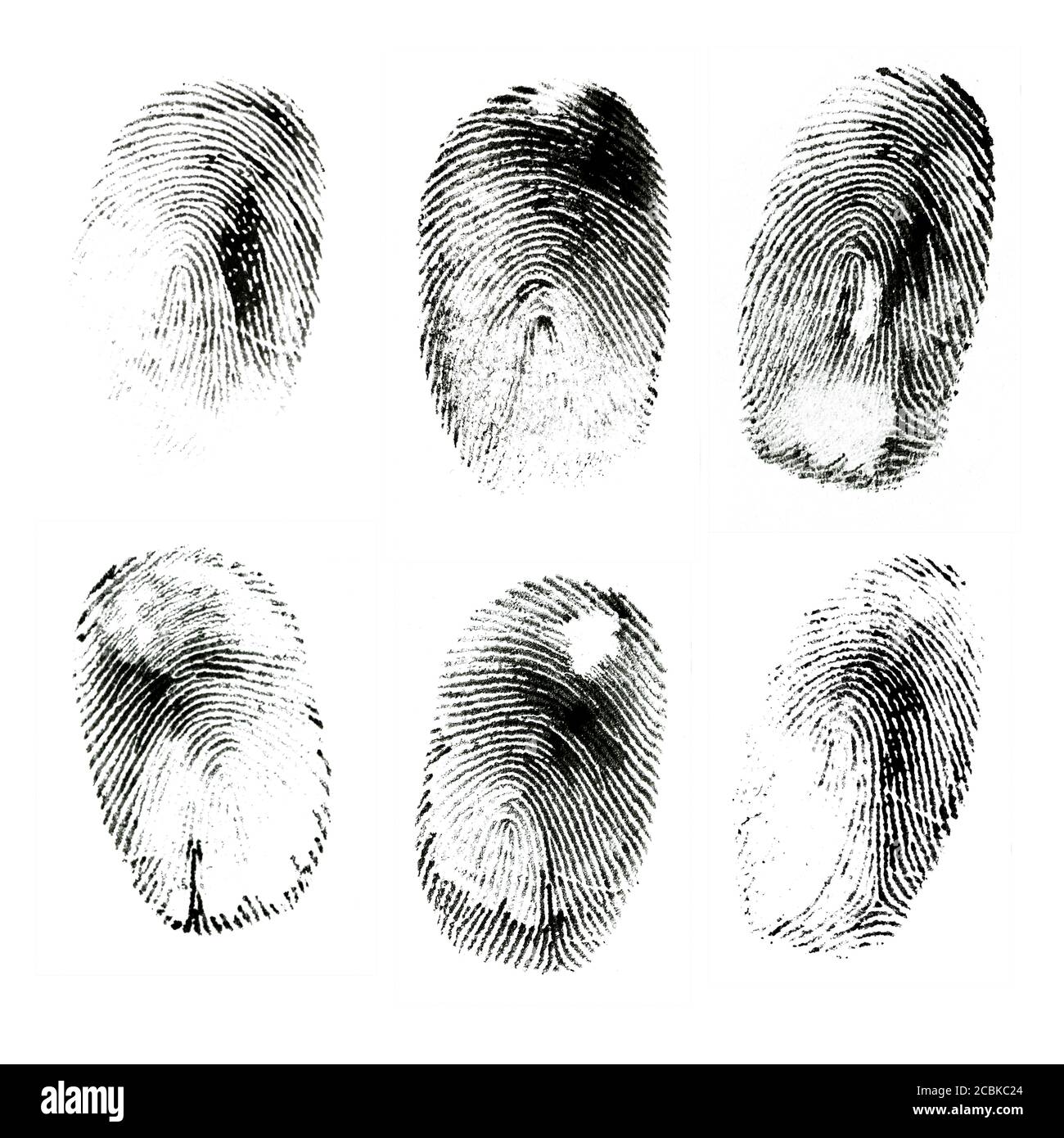 Ripresa macro di varie impronte digitali umane con inchiostro nero isolate sfondo bianco Foto Stock