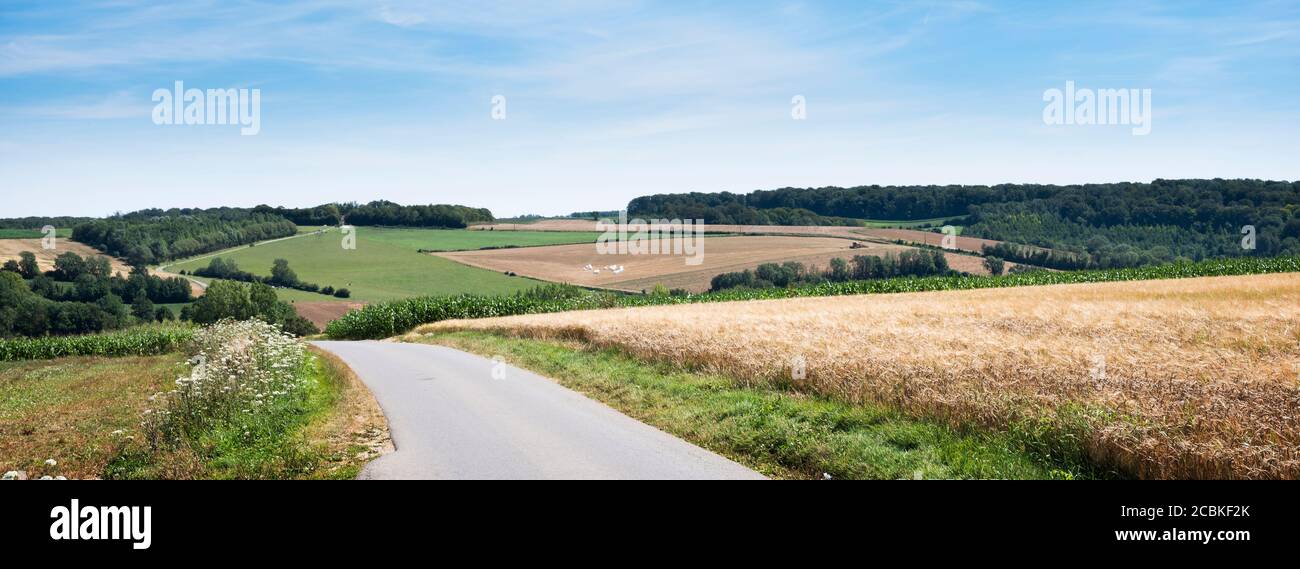 campi di mais e prati sotto il cielo blu in francese pas de calais vicino a boulogne Foto Stock