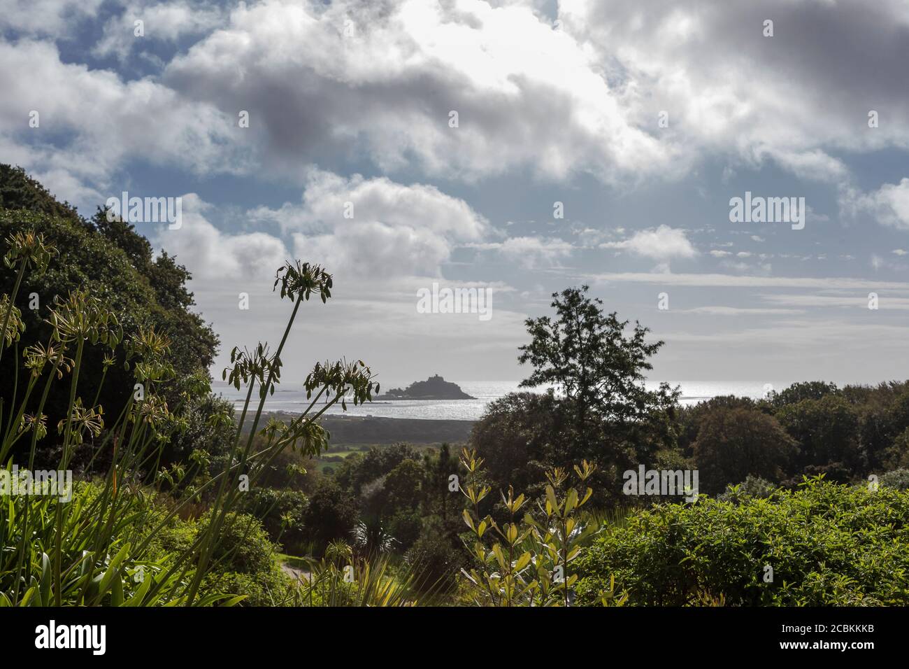 Tremenheere Gardens, Penzance, Cornovaglia, Regno Unito: St. Michael's Mount e Mounts Bay in lontananza Foto Stock