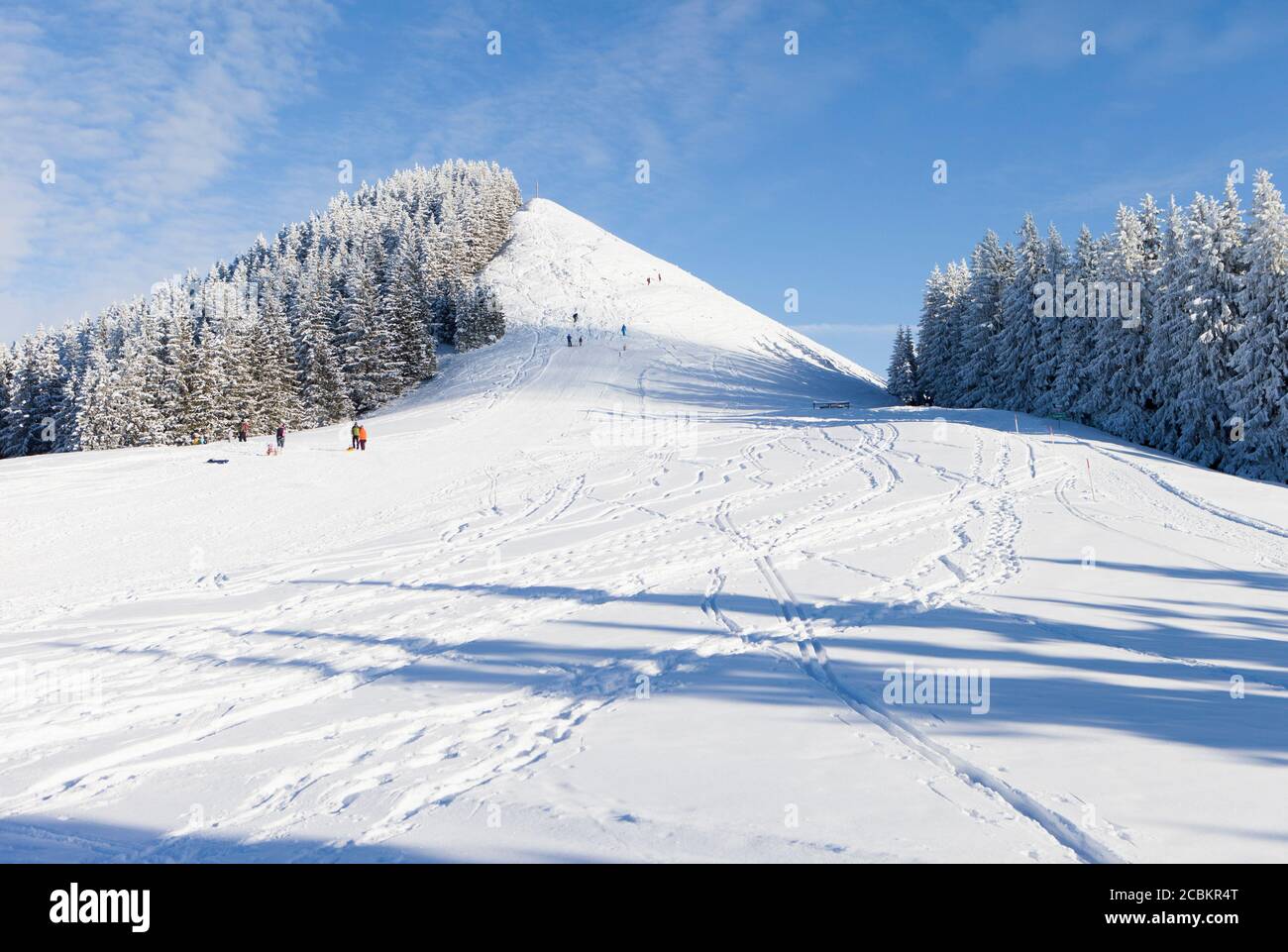 Piste da sci su piste innevate Foto Stock