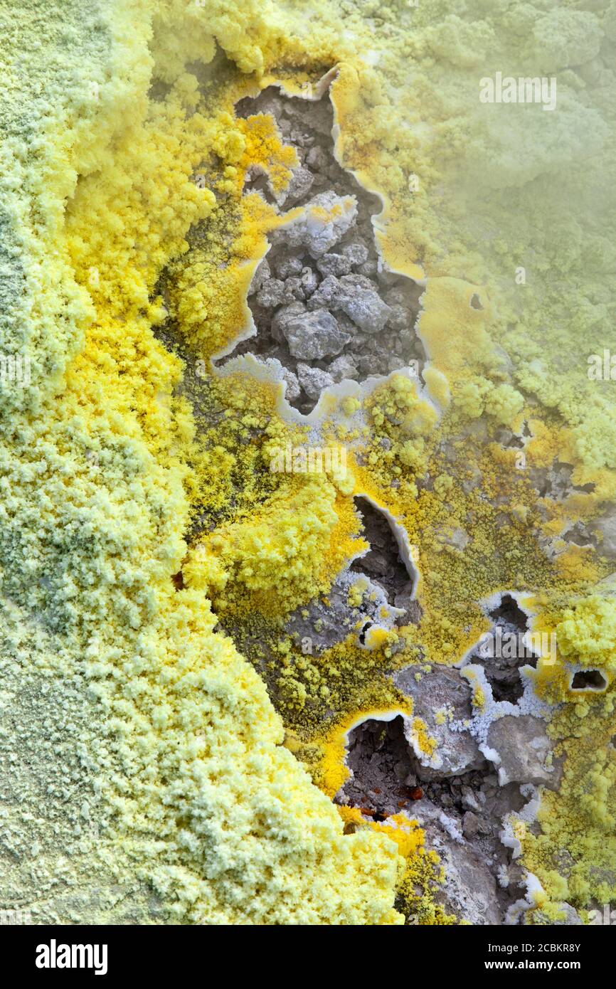 Accumulo di minerali sulle sorgenti termali calde Foto Stock