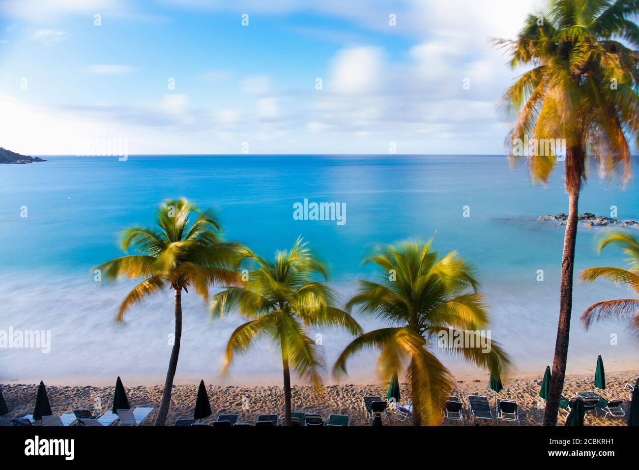 Palme e lettini vuoti sulla spiaggia Foto Stock